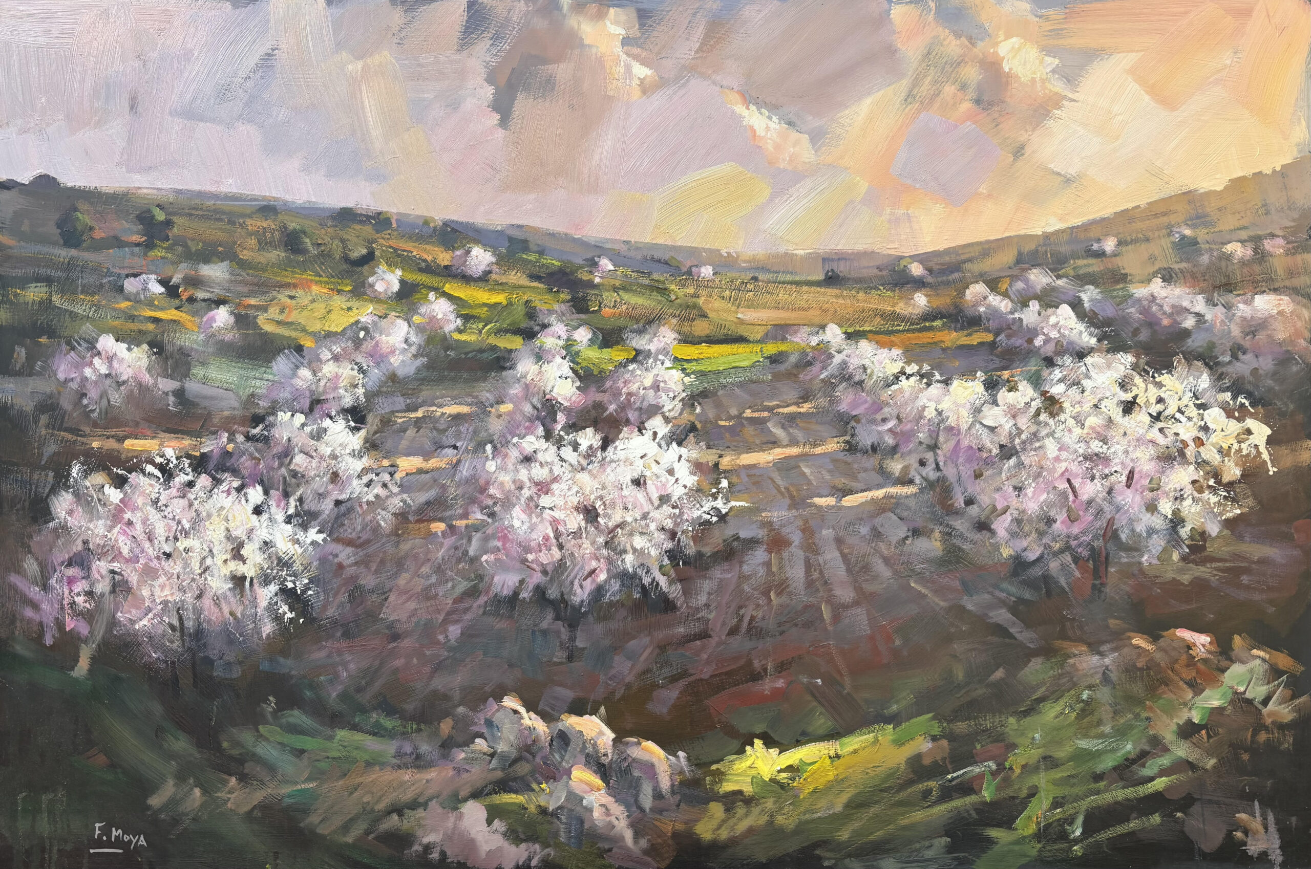 Almendros al atardecer