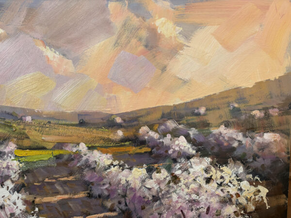 Almendros al atardecer
