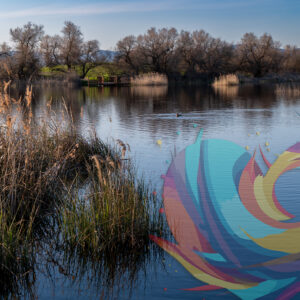 Tablas de Daimiel