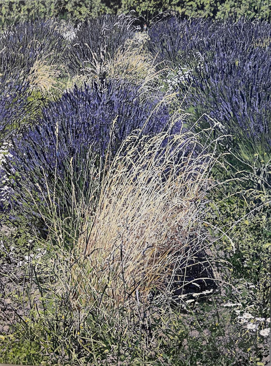 Marjorie-Moskowitz-Whidbey-Lavender-II-48-x-36