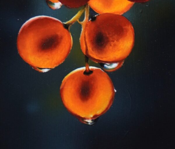 upclose_tegenlicht1