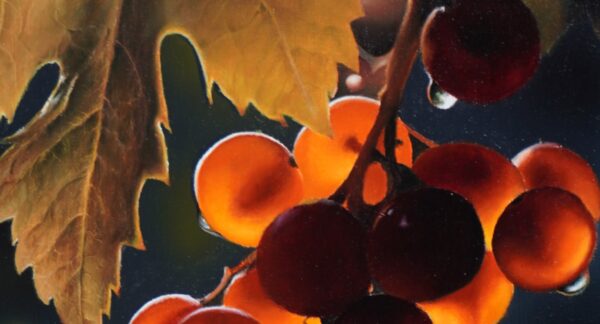 upclose_tegenlicht2