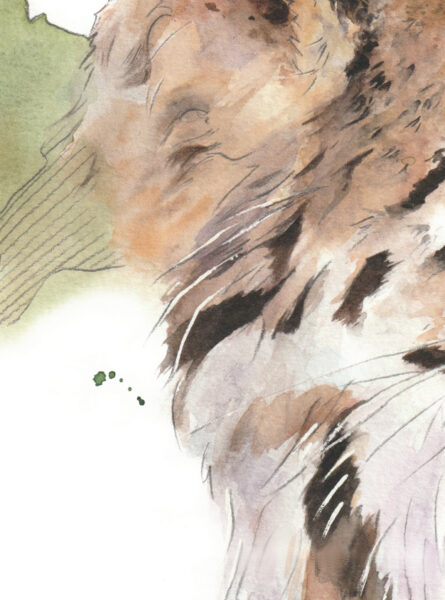 Fellini-detail-2