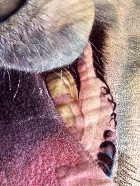Alessandra-Volker-Boundless-Spirit-detail-3