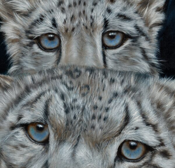 Blue-gaze-2
