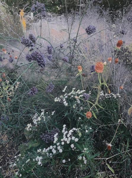 Denver