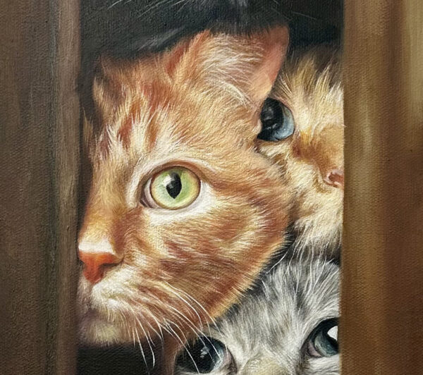 门中的猫细节图