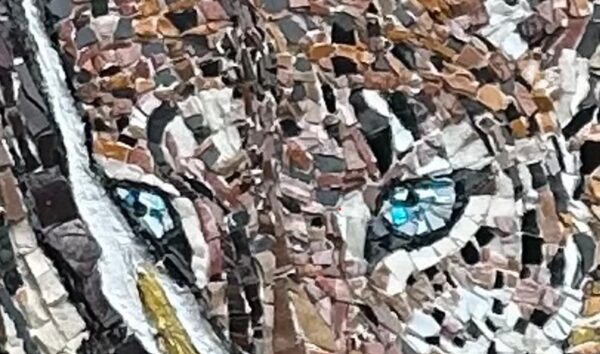 DETAIL-1