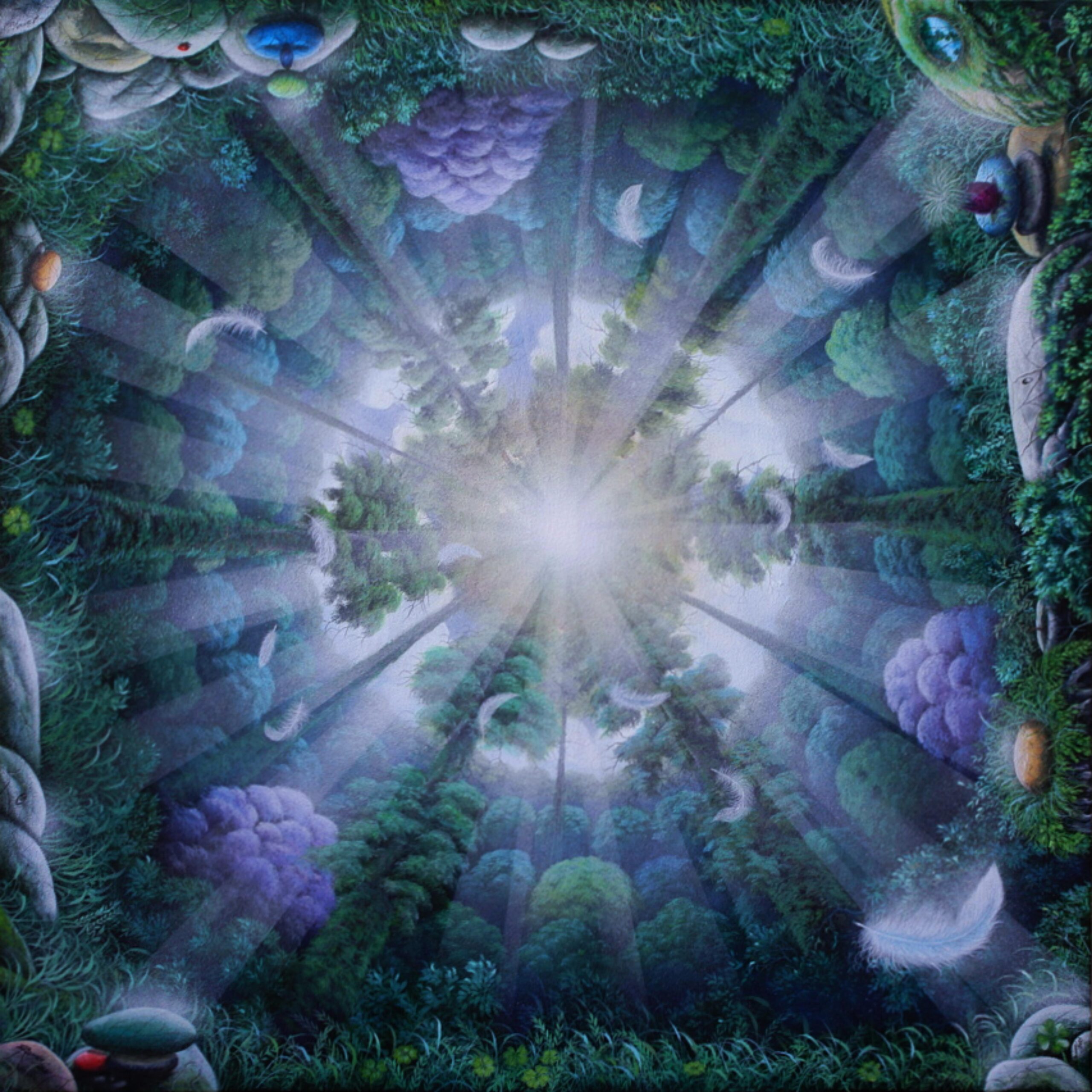 UNA-MIRADA-SUBLIME-AL-FIR