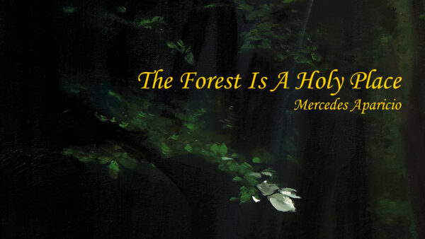 TheForest-Is-A-Holy-Place_DVD_Platzhalter