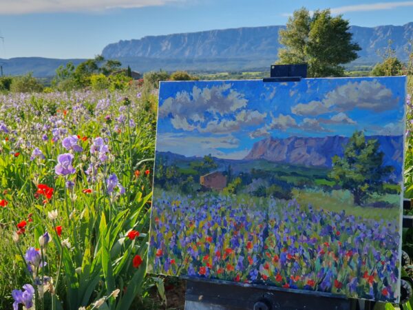 Floral-symbiosis-in-Cezannes-homeland