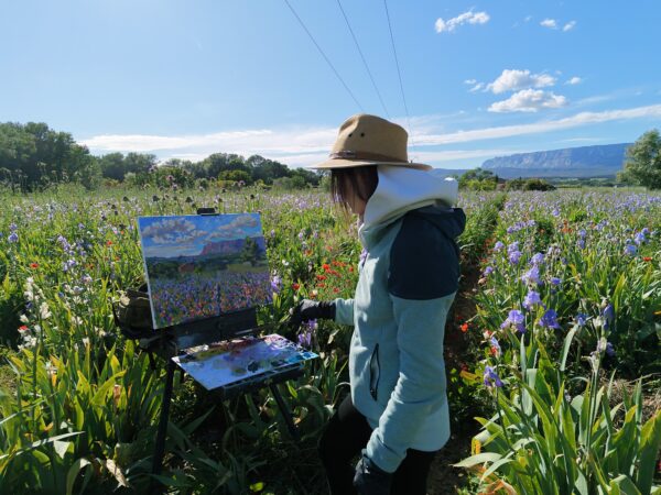 Floral-symbiosis-in-Cezannes-homeland-France