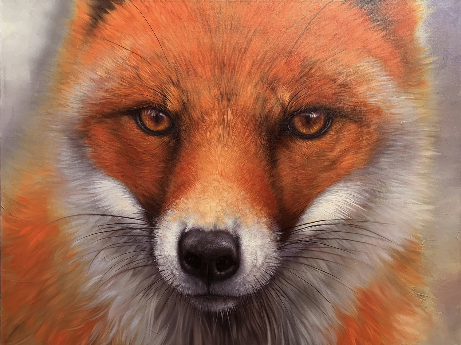 Fox-Pic-Web