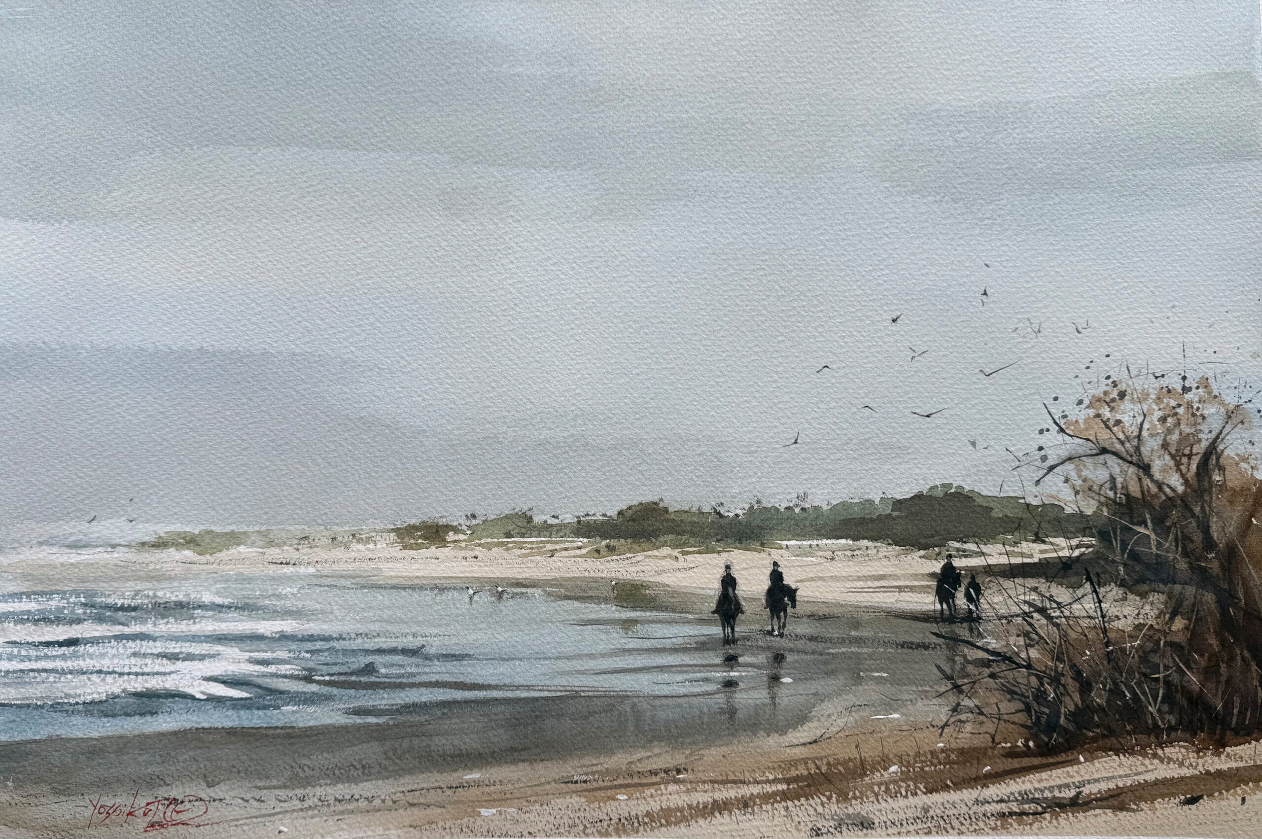 shoreline-1