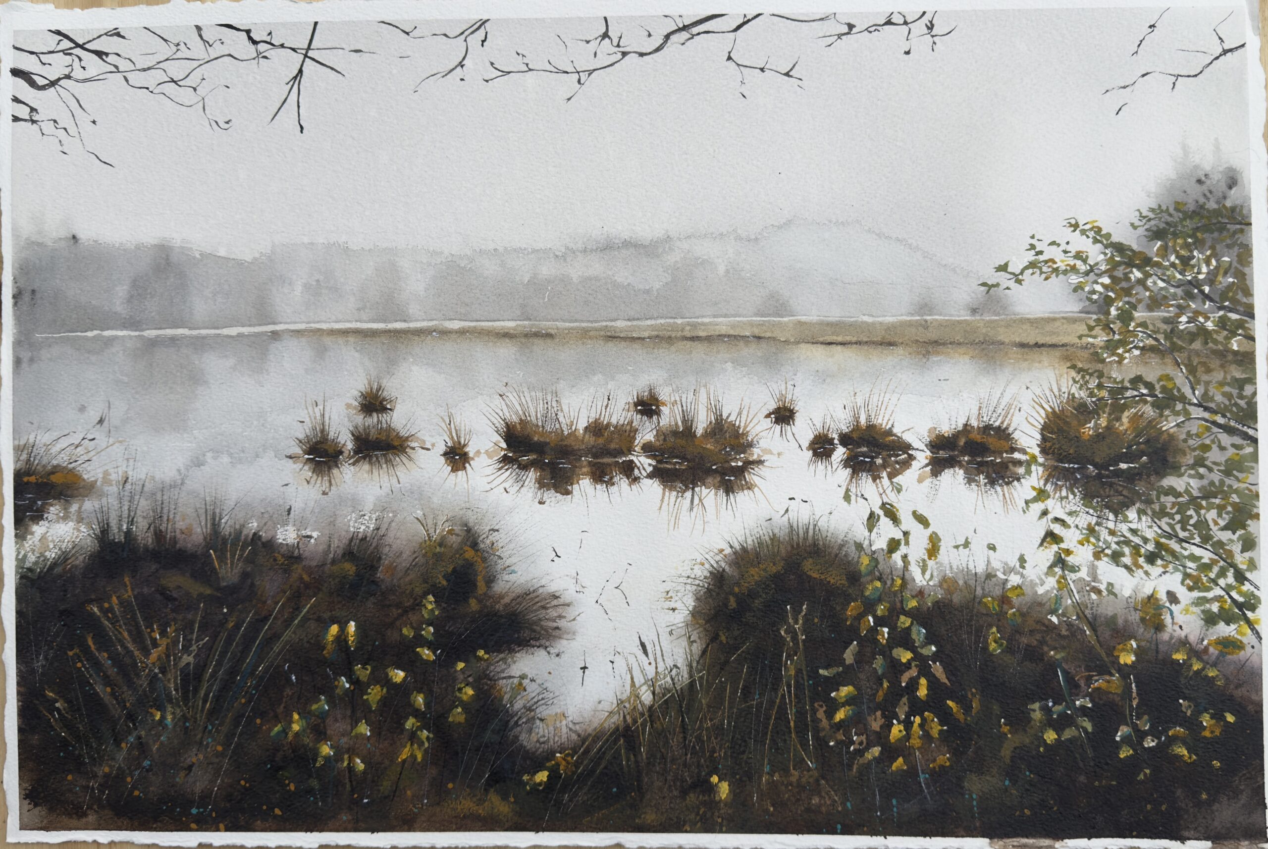 Morning_Mist__Wiltfried_Pathuis__NLjpg