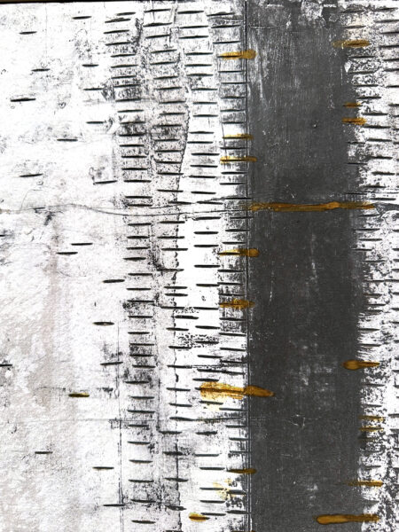 TRACE-XV_fragm_5MB