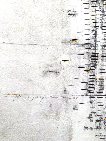 Trace-XV_fragm1._5MB