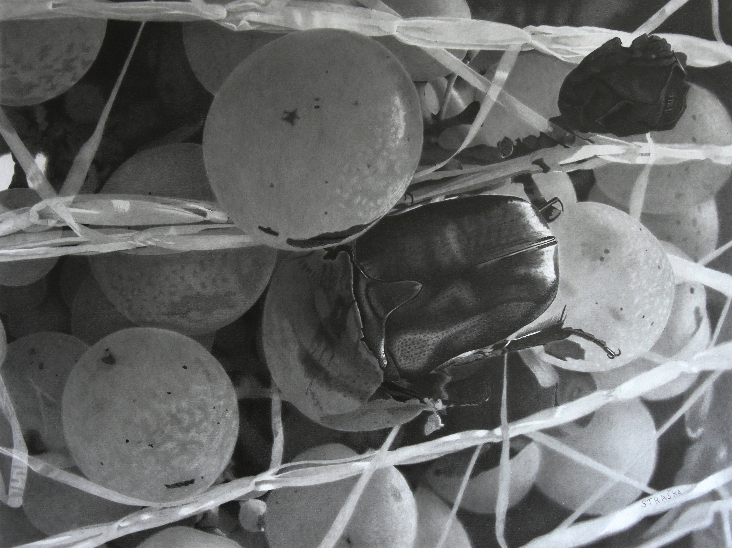 Having-lunch_print_I_50