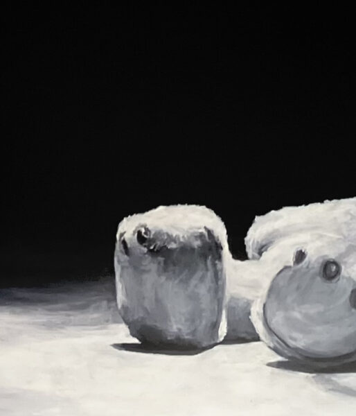 pies-oso