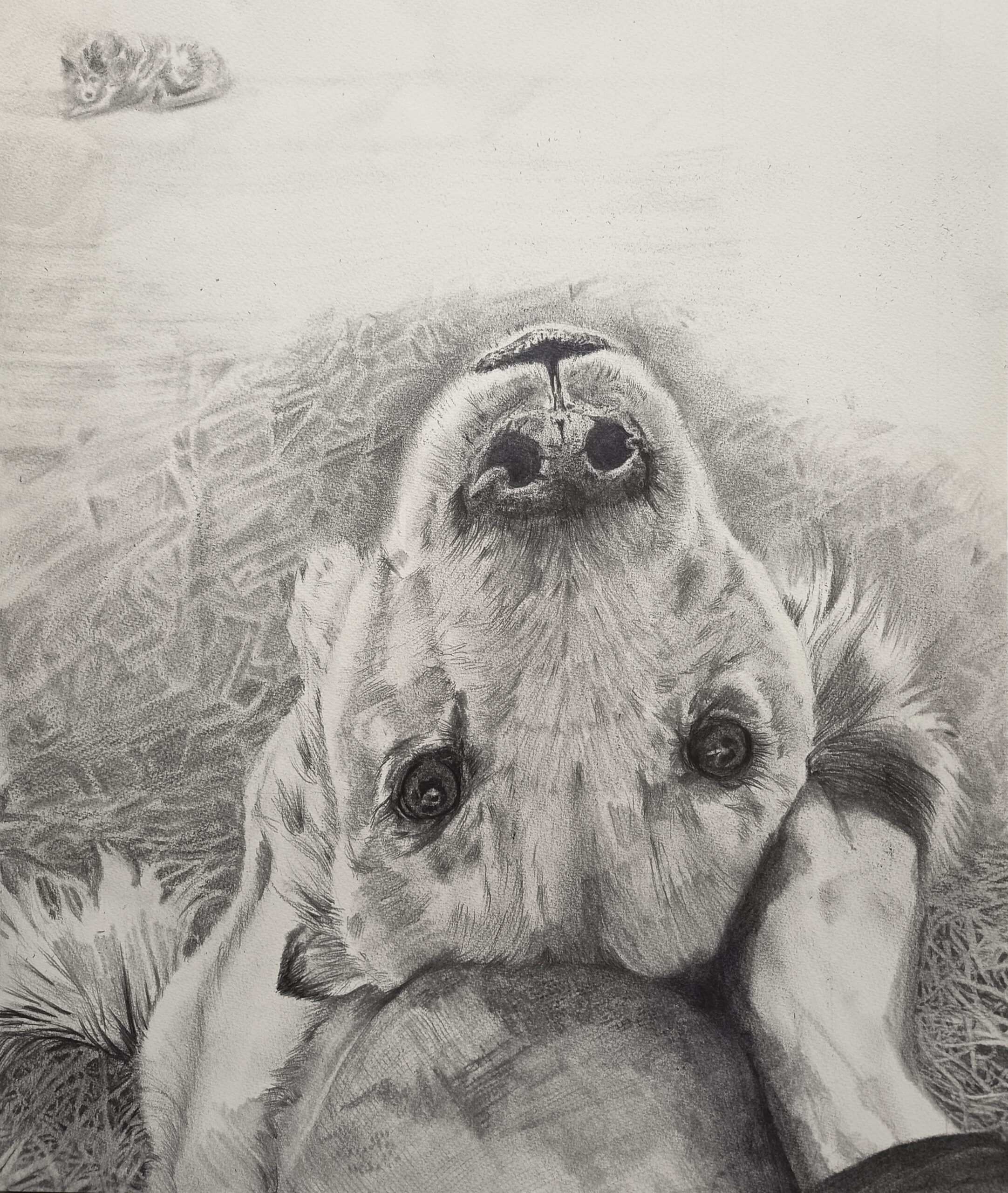 PByrne.Drawing