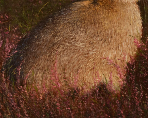 Wildflower_Hare_Body_Marina_Sosnovskaya