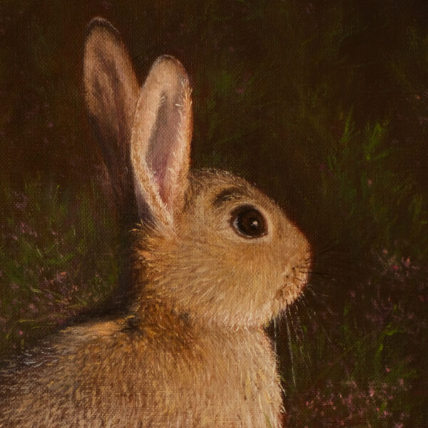 Wildflower_Hare_Head_Marina_Sosnovskaya
