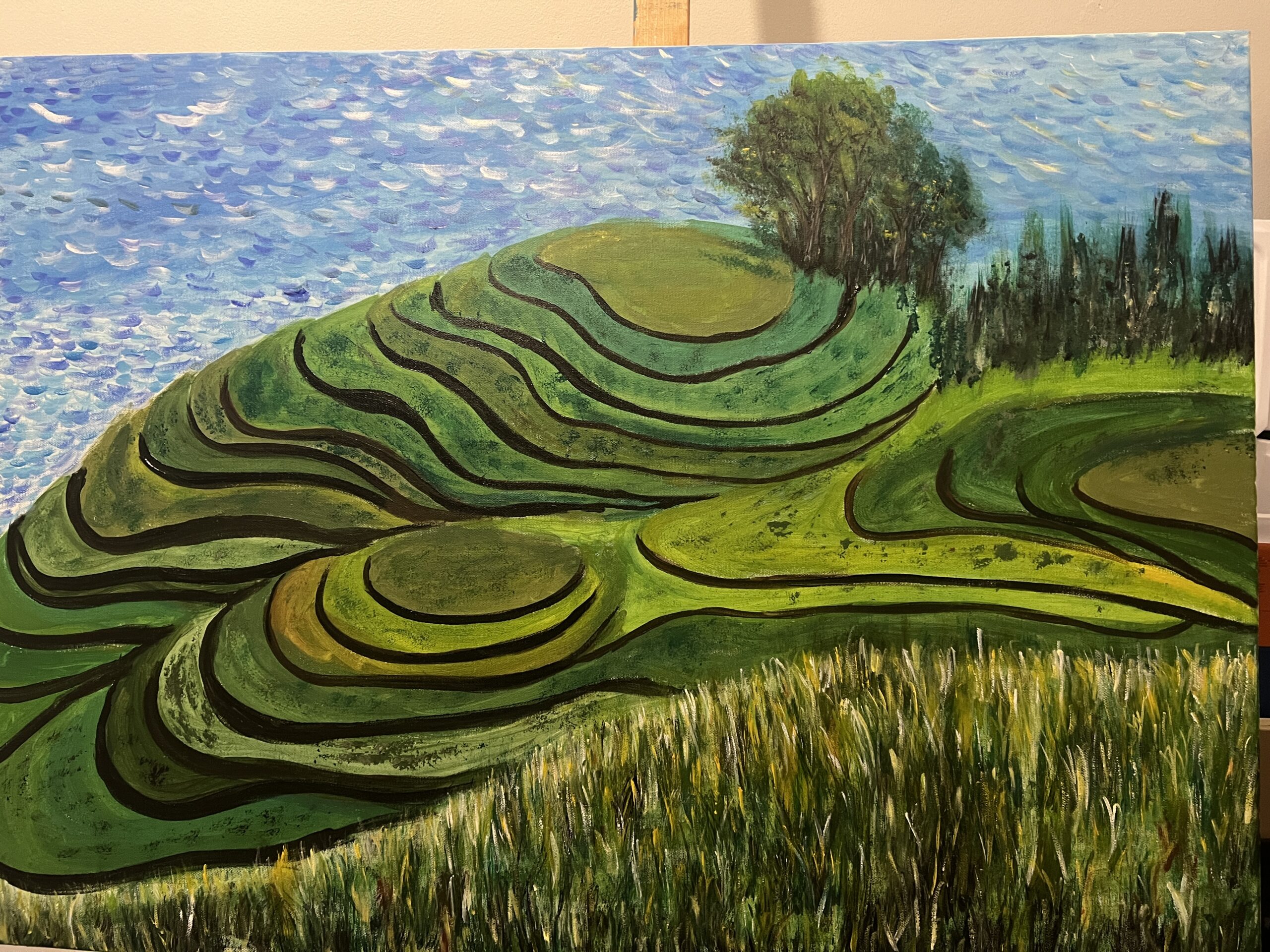 terraced-fields