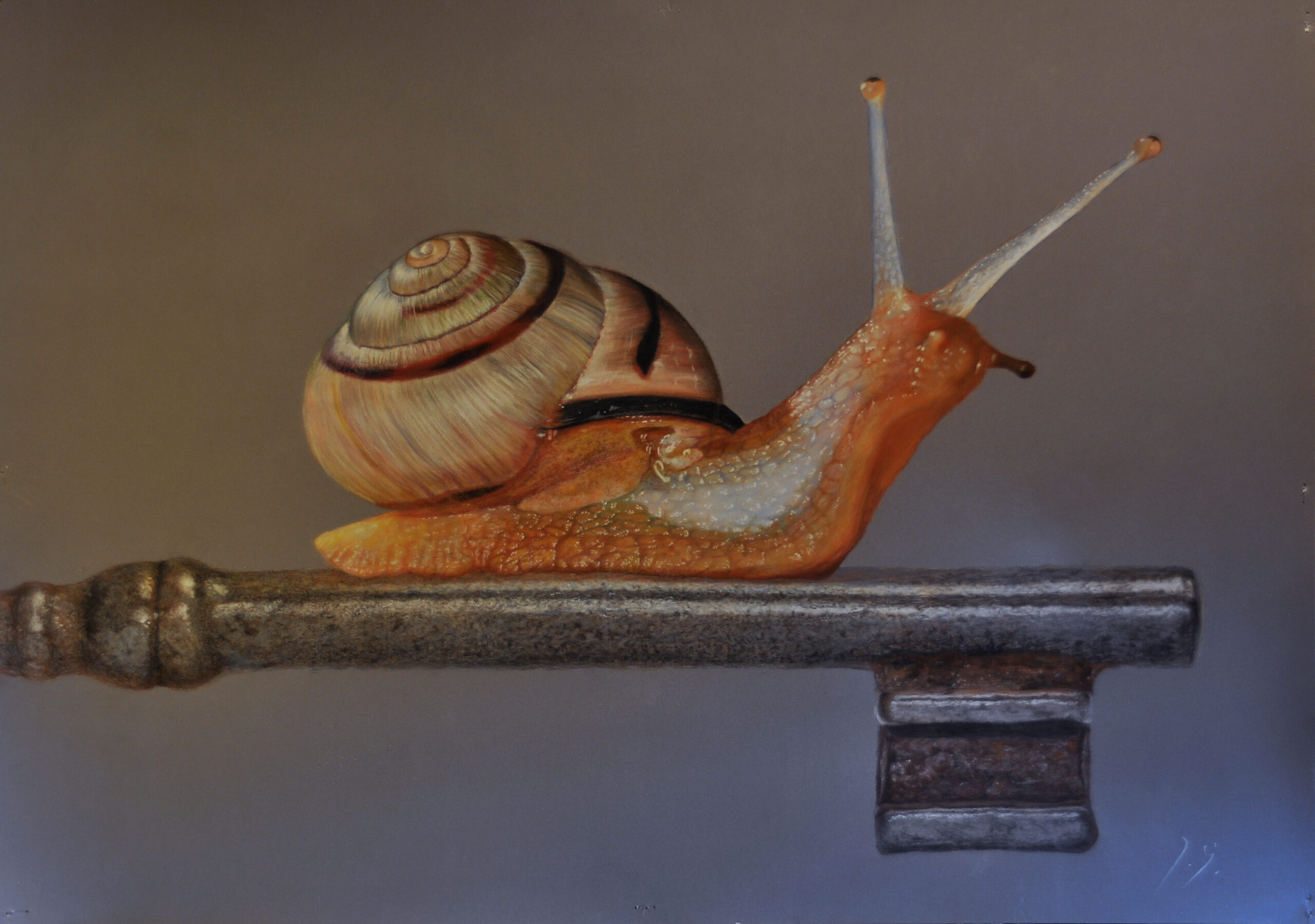 caracol-foto-buena