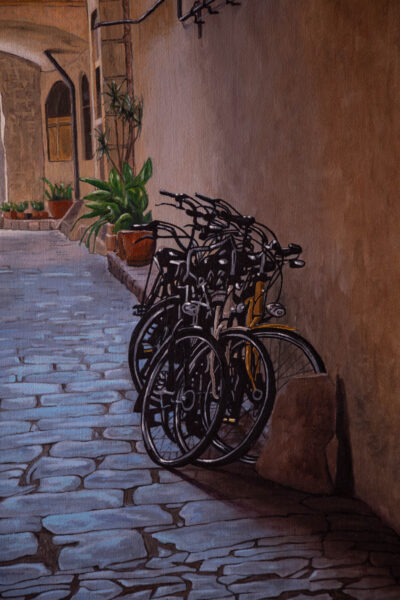 Foto-parcial-callejon-III