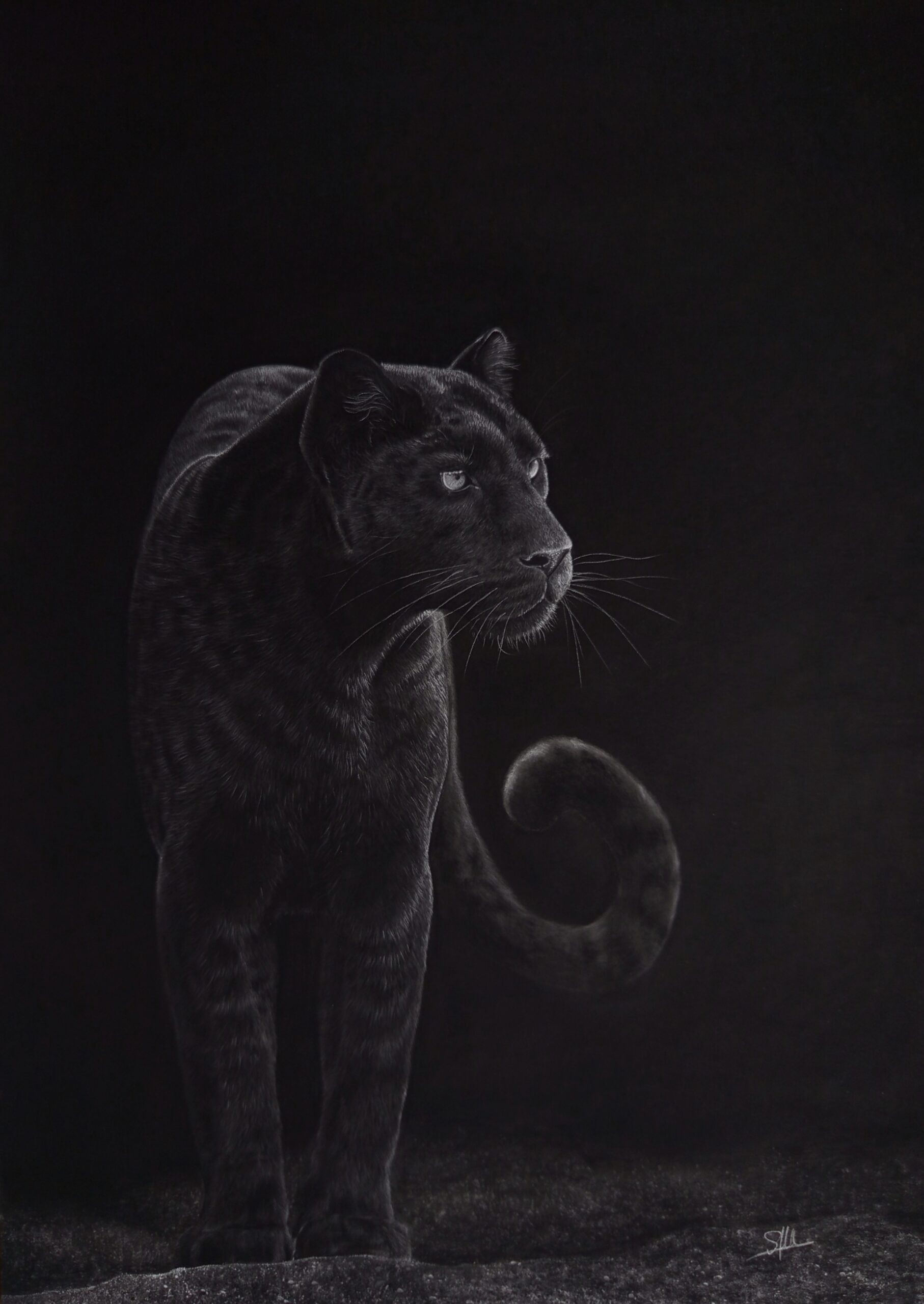 Velours-noir-Sophie-MONROGER