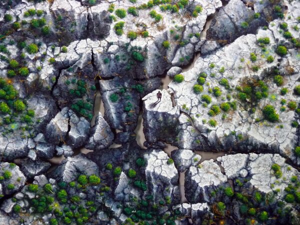 Fracti-Natura-1