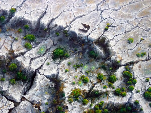 Fracti-Natura-I-1