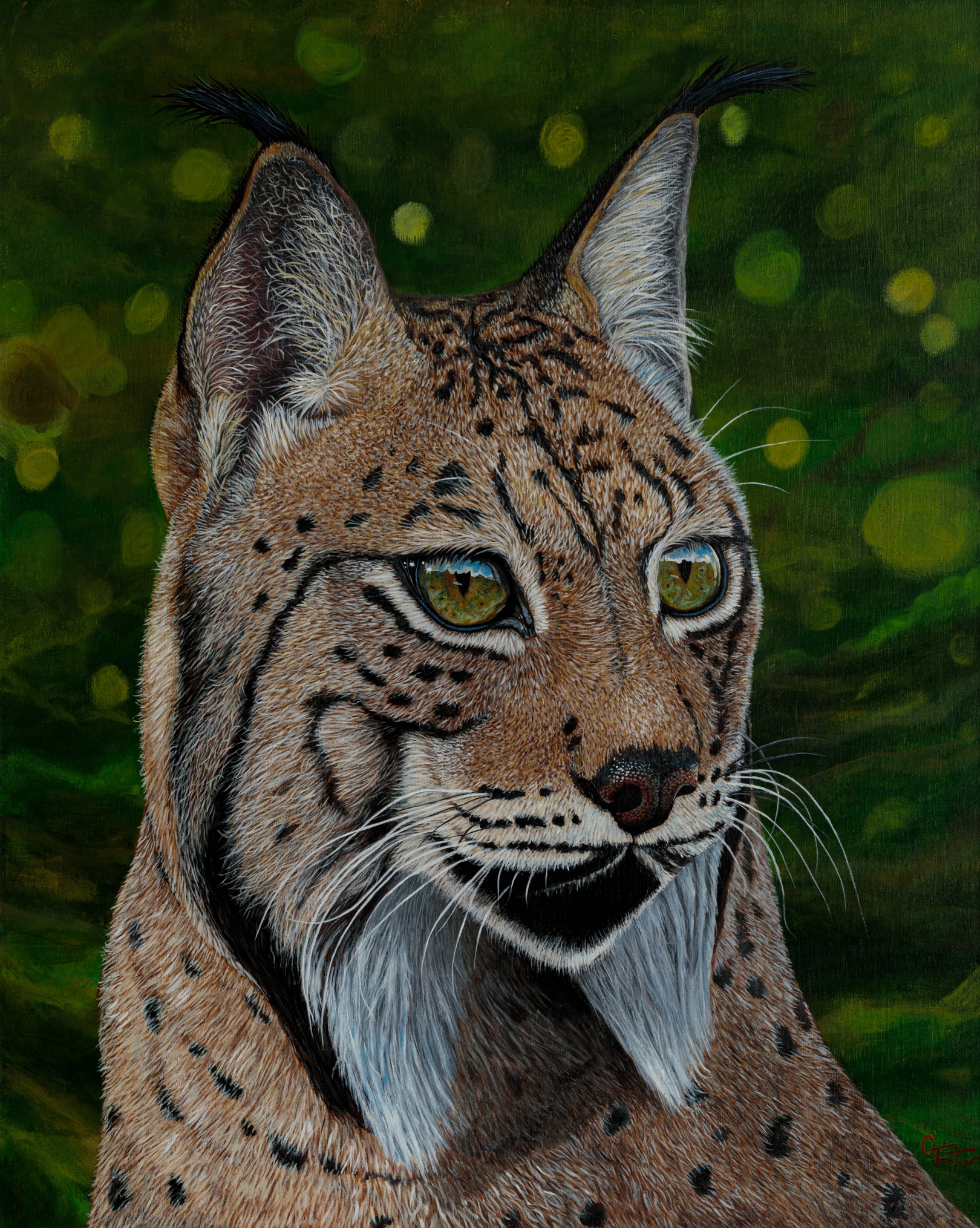 lince-505