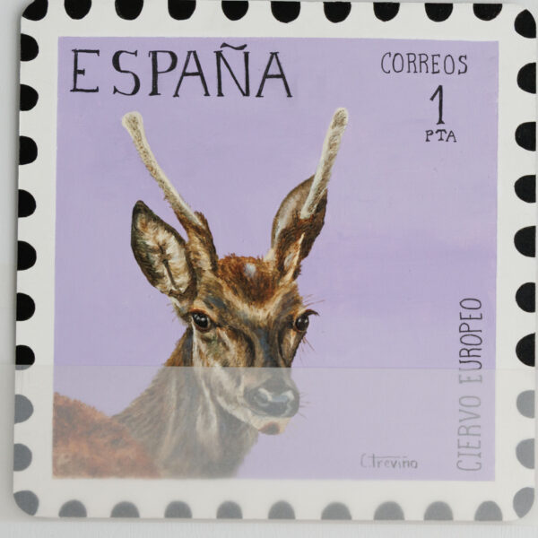 ciervo