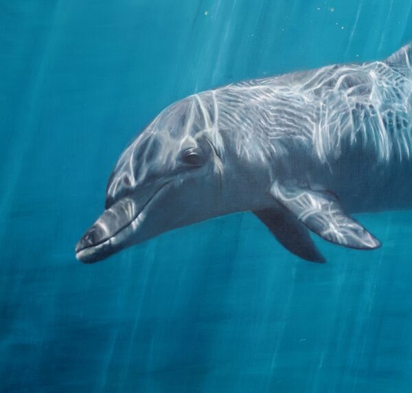 Golden-Ocean-Reflection-Dolphin-Detail-70x70cm-Oil-and-24ct-of-goldleaf-on-aluminium-panel-Alexandra-Telgmann