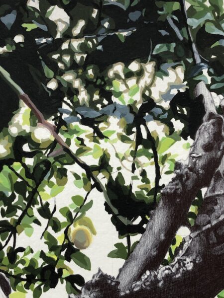 Olga-Navarro.-Raices.-Se-resiste-a-morir.-Detalle-1