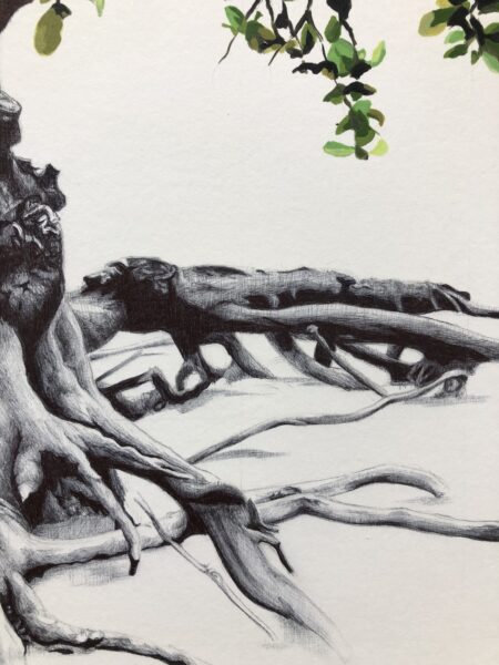 Olga-Navarro.-Raices.-Se-resiste-a-morir.-Detalle-2