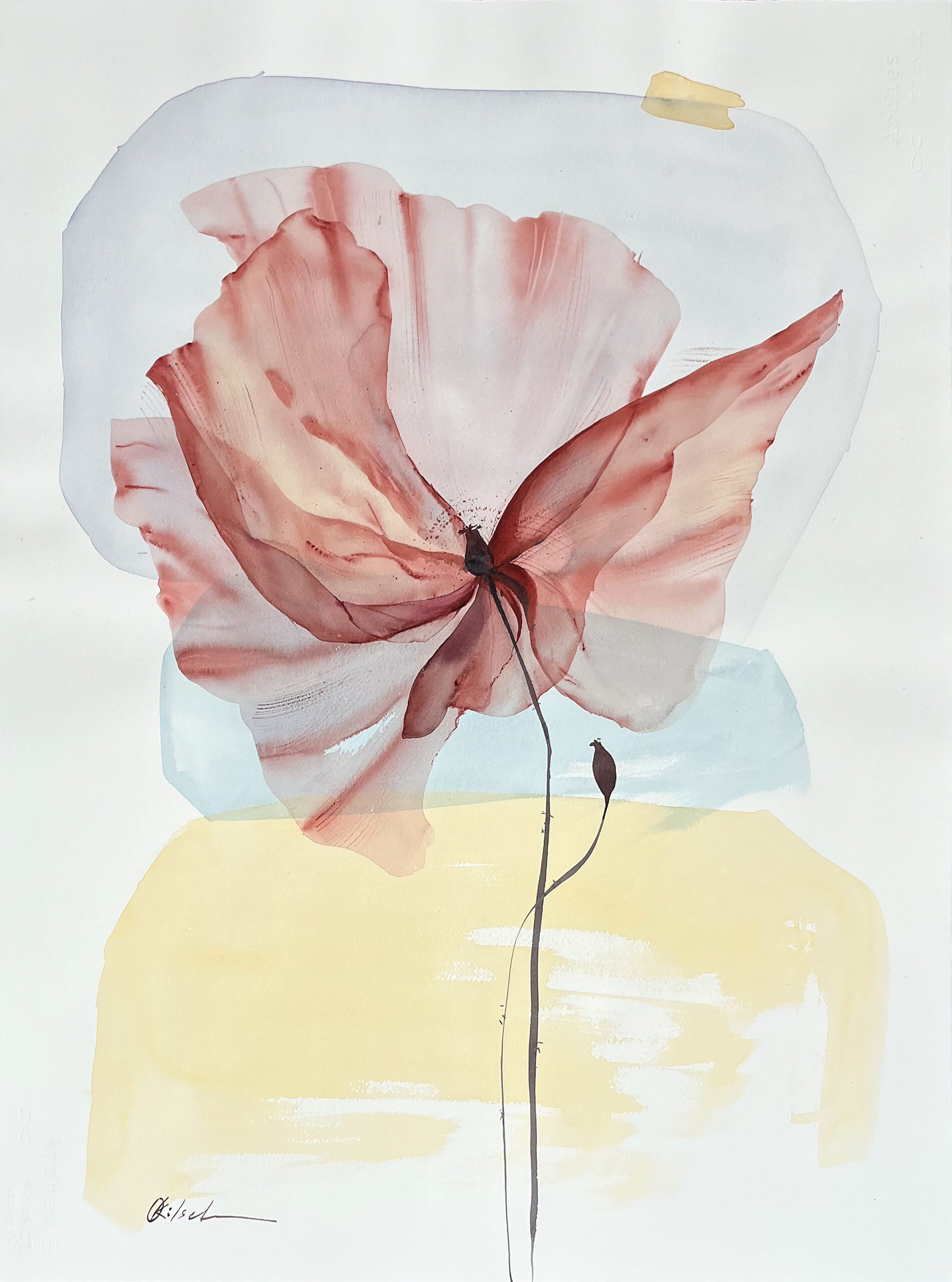 OLGA-KOELSCH_Tuscan-Memories-Poppy_2026_76x56-cm