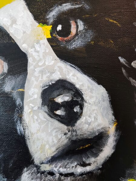 detalle-cara-1