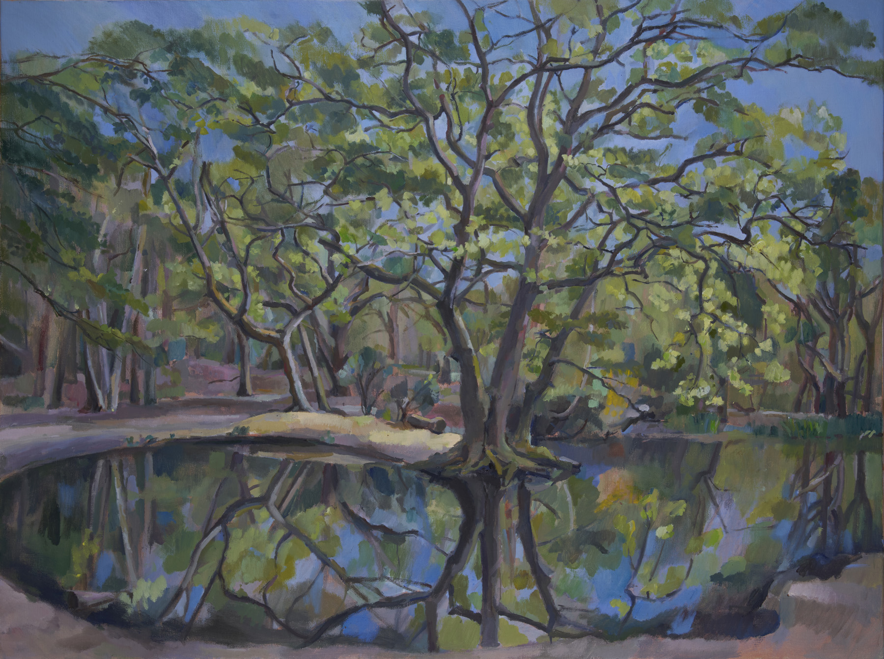 Hampstead_Pond_05_2026_Emailetc