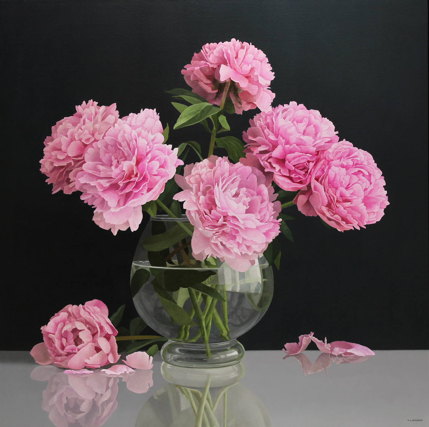PEONIAS-100X100