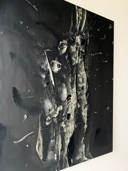 森羅万象2
