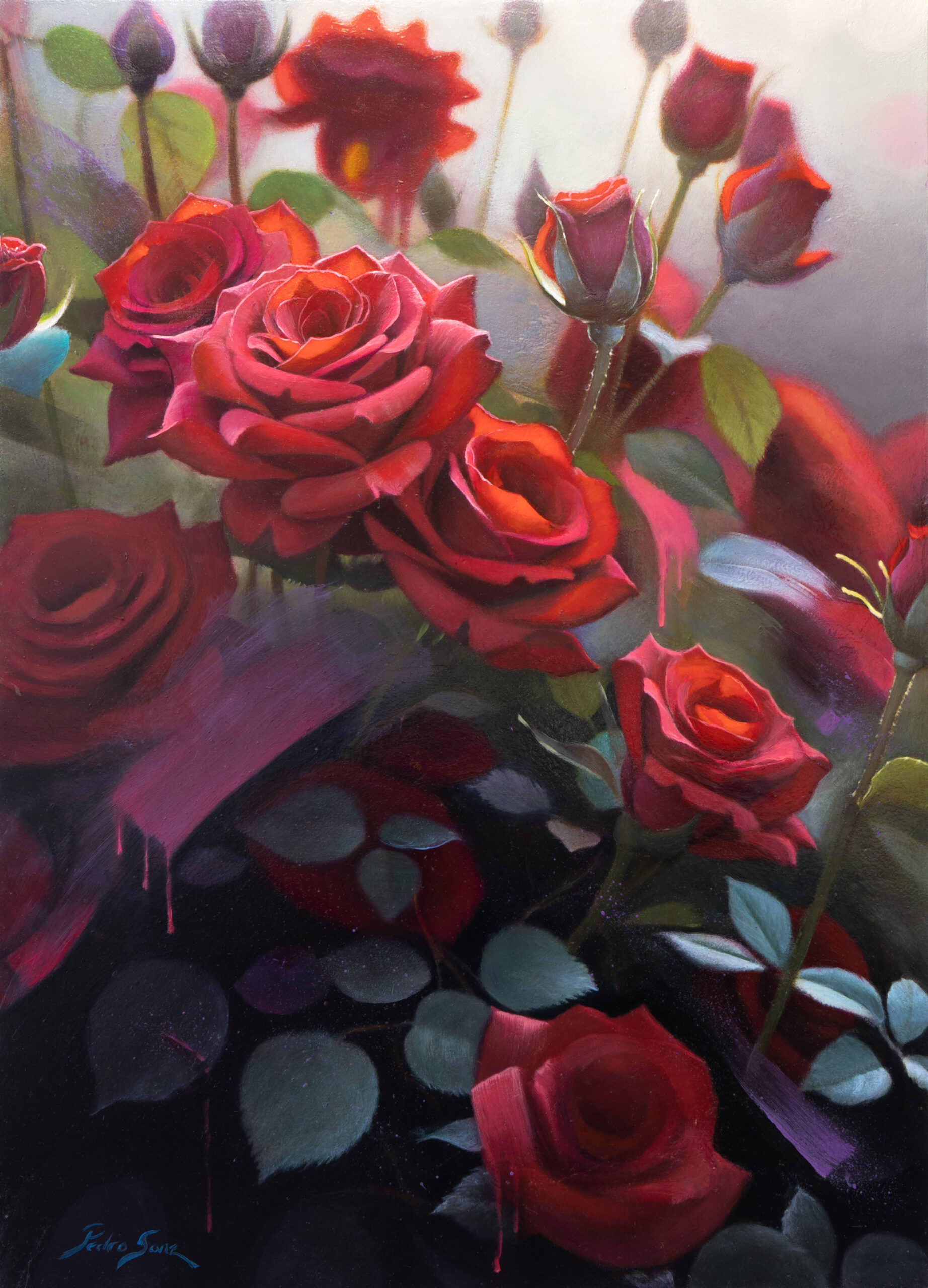 Amanecer-rosas-magenta-59.5x42cm