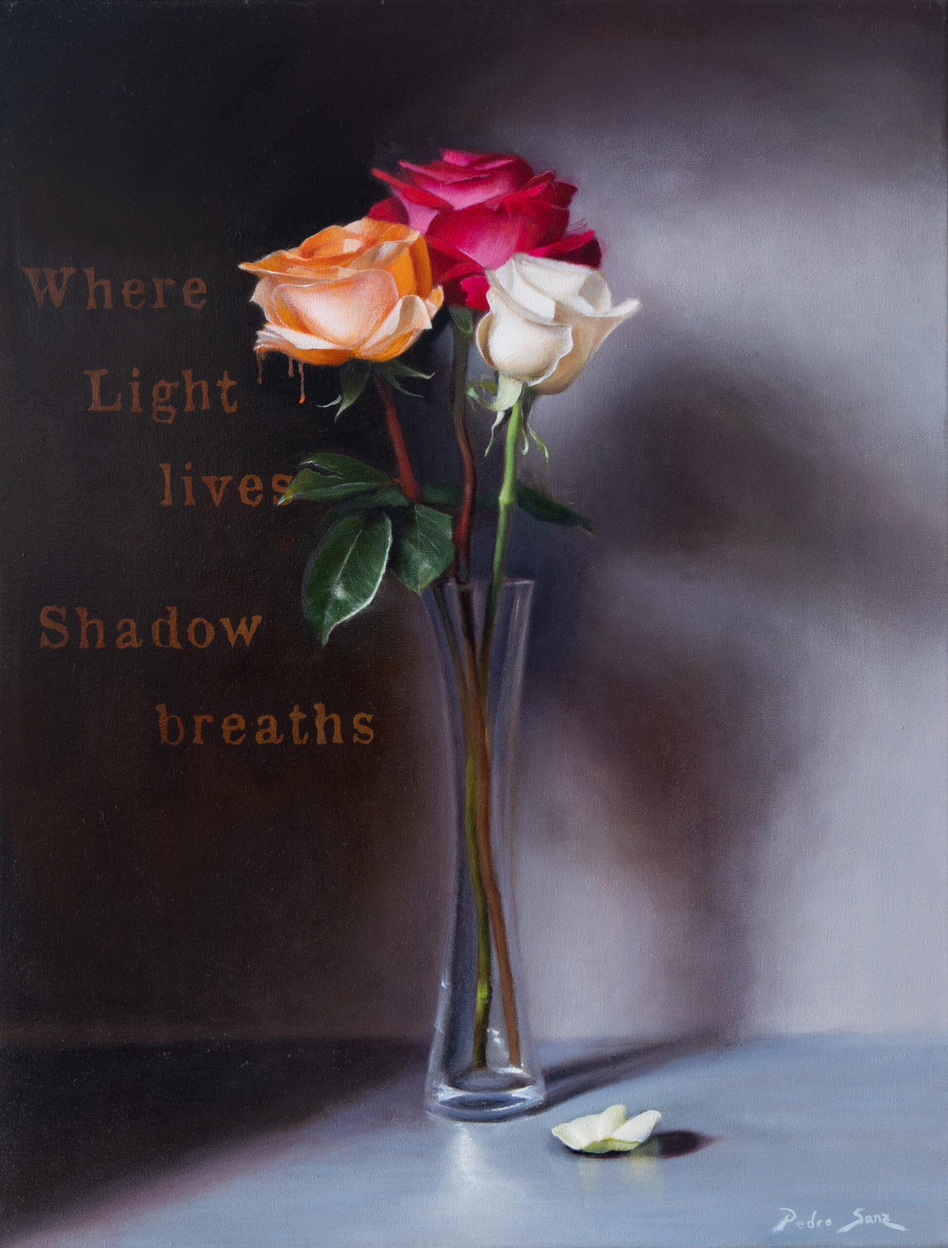 where-light-lives-shadow-breathes-Pedro-Sanz